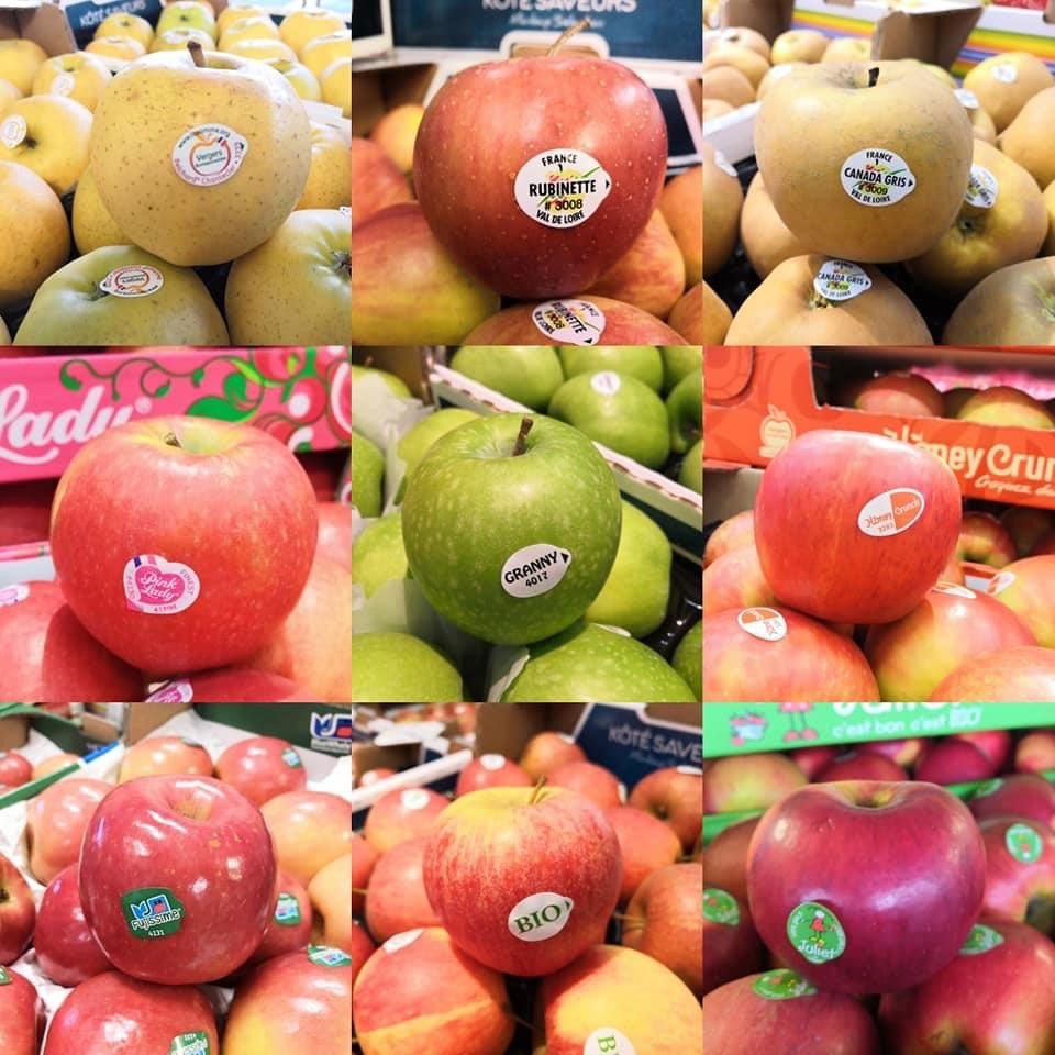 export-pommes